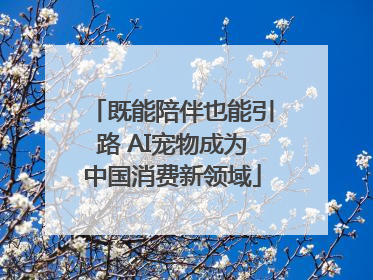 既能陪伴也能引路 AI宠物成为中国消费新领域