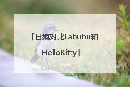 日媒对比Labubu和HelloKitty