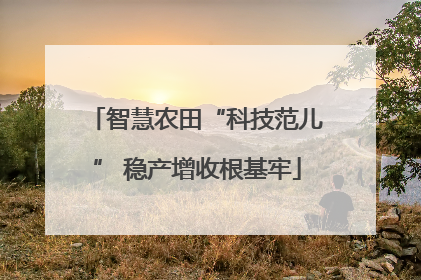 智慧农田“科技范儿” 稳产增收根基牢