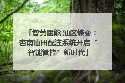 智慧赋能 油区蝶变：杏南油田配注系统开启“智能管控”新时代