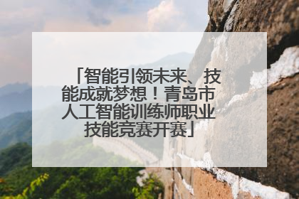 智能引领未来、技能成就梦想！青岛市人工智能训练师职业技能竞赛开赛
