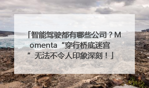 智能驾驶都有哪些公司？Momenta“穿行桥底迷宫”无法不令人印象深刻！