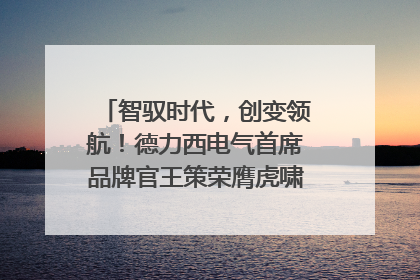 智驭时代，创变领航！德力西电气首席品牌官王策荣膺虎啸奖年度品牌人物