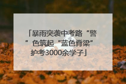 暴雨突袭中考路“警”色筑起“蓝色脊梁”护考3000余学子