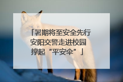 暑期将至安全先行 安阳交警走进校园撑起“平安伞”