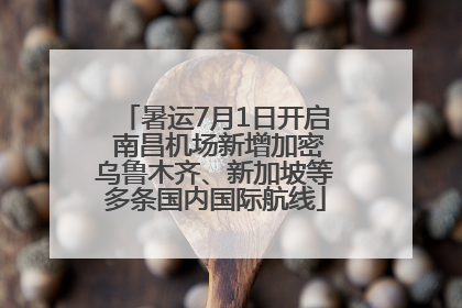 暑运7月1日开启 南昌机场新增加密乌鲁木齐、新加坡等多条国内国际航线