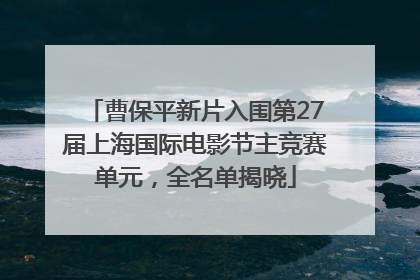 曹保平新片入围第27届上海国际电影节主竞赛单元，全名单揭晓
