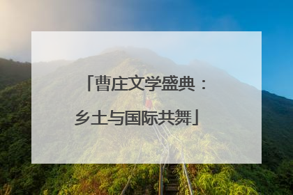 曹庄文学盛典：乡土与国际共舞