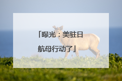 曝光：美驻日航母行动了