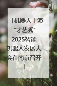 机器人上演“才艺秀” 2025智能机器人发展大会在南京召开