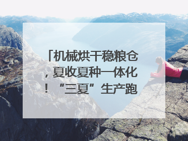 机械烘干稳粮仓，夏收夏种一体化！“三夏”生产跑出加速度｜麦报