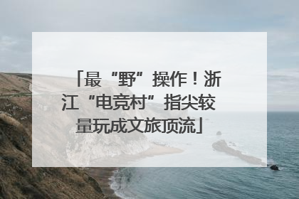 最“野”操作！浙江“电竞村”指尖较量玩成文旅顶流