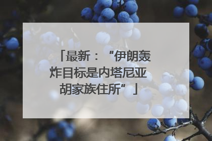 最新：“伊朗轰炸目标是内塔尼亚胡家族住所”