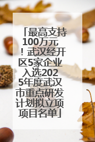 最高支持100万元！武汉经开区5家企业入选2025年度武汉市重点研发计划拟立项项目名单