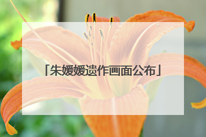 朱媛媛遗作画面公布