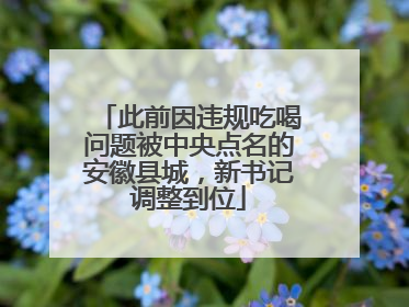 此前因违规吃喝问题被中央点名的安徽县城，新书记调整到位