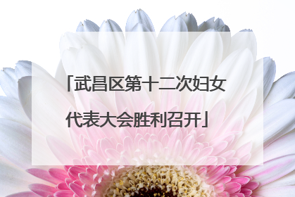 武昌区第十二次妇女代表大会胜利召开