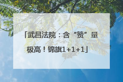 武昌法院：含“赞”量极高！锦旗1+1+1