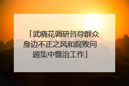 武晓花调研督导群众身边不正之风和腐败问题集中整治工作