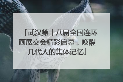 武汉第十八届全国连环画展交会精彩启幕，唤醒几代人的集体记忆