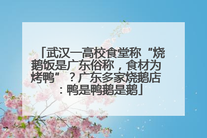 武汉一高校食堂称“烧鹅饭是广东俗称，食材为烤鸭”？广东多家烧鹅店：鸭是鸭鹅是鹅