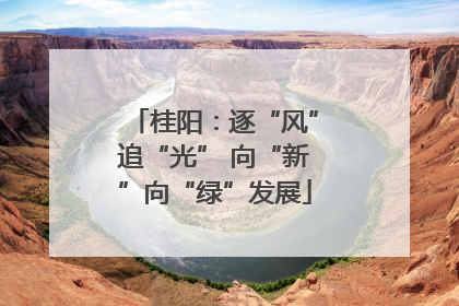 桂阳：逐“风”追“光” 向“新”向“绿”发展
