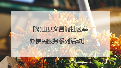 梁山县文昌阁社区举办便民服务系列活动
