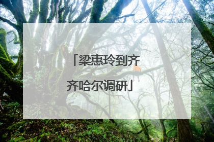 梁惠玲到齐齐哈尔调研