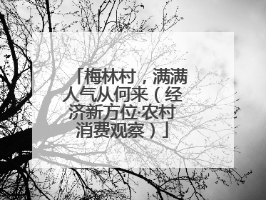 梅林村，满满人气从何来（经济新方位·农村消费观察）