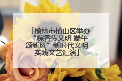 榆林市横山区举办“粽香传文明 端午颂新风”新时代文明实践文艺汇演