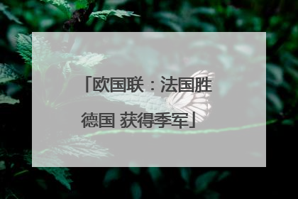 欧国联：法国胜德国 获得季军