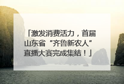 激发消费活力，首届山东省“齐鲁新农人”直播大赛完成集结！