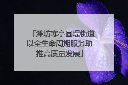 潍坊寒亭固堤街道以全生命周期服务助推高质量发展