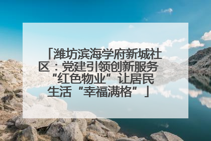 潍坊滨海学府新城社区：党建引领创新服务 “红色物业”让居民生活“幸福满格”