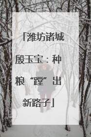 潍坊诸城殷玉宝：种粮“蹚”出新路子