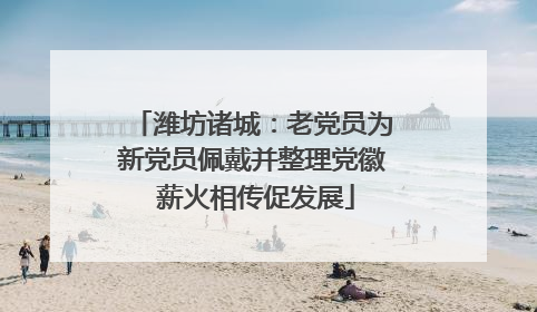 潍坊诸城：老党员为新党员佩戴并整理党徽 薪火相传促发展