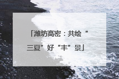 潍坊高密：共绘“三夏”好“丰”景