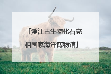 澄江古生物化石亮相国家海洋博物馆