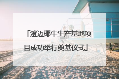 澄迈椰牛生产基地项目成功举行奠基仪式