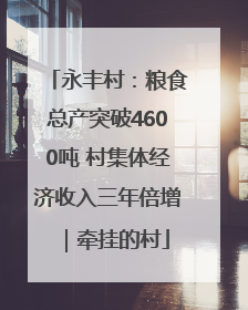 永丰村：粮食总产突破4600吨 村集体经济收入三年倍增｜牵挂的村
