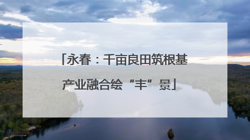 永春：千亩良田筑根基 产业融合绘“丰”景