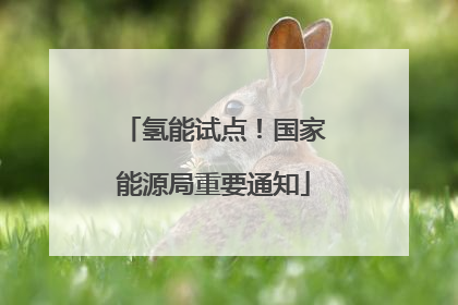 氢能试点！国家能源局重要通知