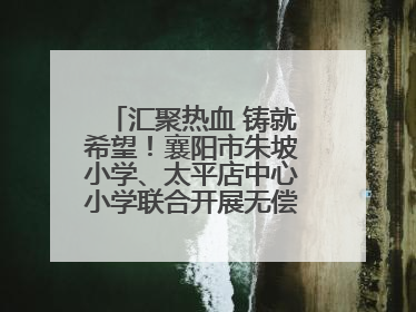 汇聚热血 铸就希望！襄阳市朱坡小学、太平店中心小学联合开展无偿献血活动