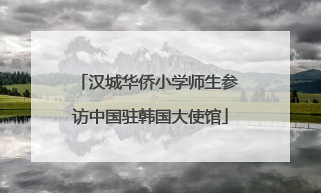 汉城华侨小学师生参访中国驻韩国大使馆