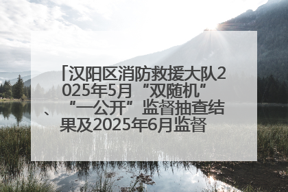 汉阳区消防救援大队2025年5月“双随机”、“一公开”监督抽查结果及2025年6月监督抽查任务公示