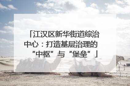 江汉区新华街道综治中心：打造基层治理的“中枢”与“堡垒”