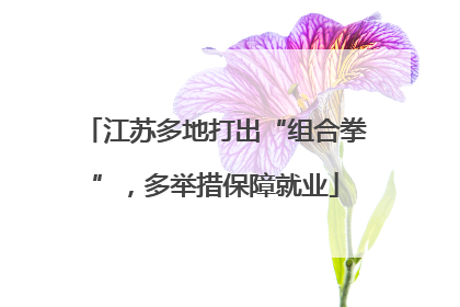 江苏多地打出“组合拳”，多举措保障就业