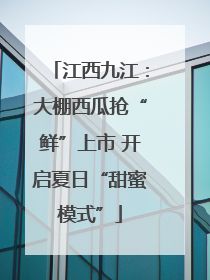 江西九江：大棚西瓜抢“鲜”上市 开启夏日“甜蜜模式”