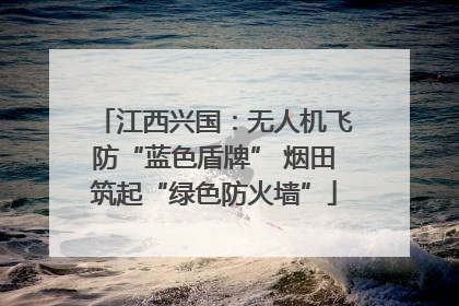 江西兴国：无人机飞防“蓝色盾牌” 烟田筑起“绿色防火墙”