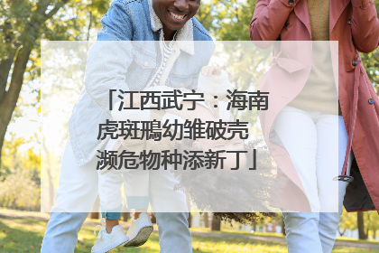江西武宁：海南虎斑鳽幼雏破壳 濒危物种添新丁